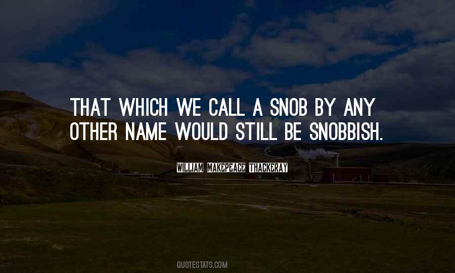 I Am A Snob Quotes #30399