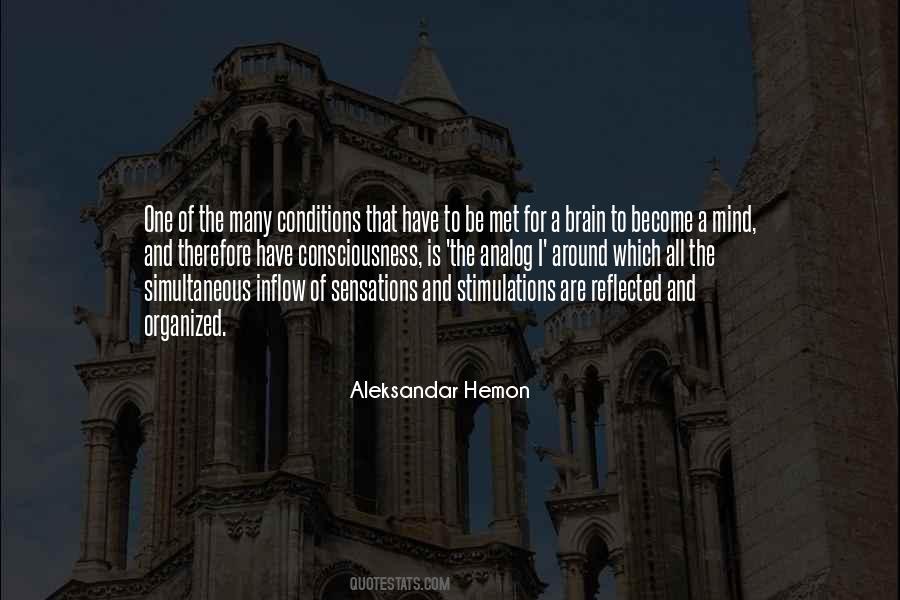 Quotes About The Brain And Mind #252130