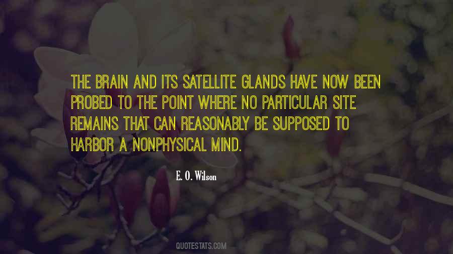 Quotes About The Brain And Mind #40277