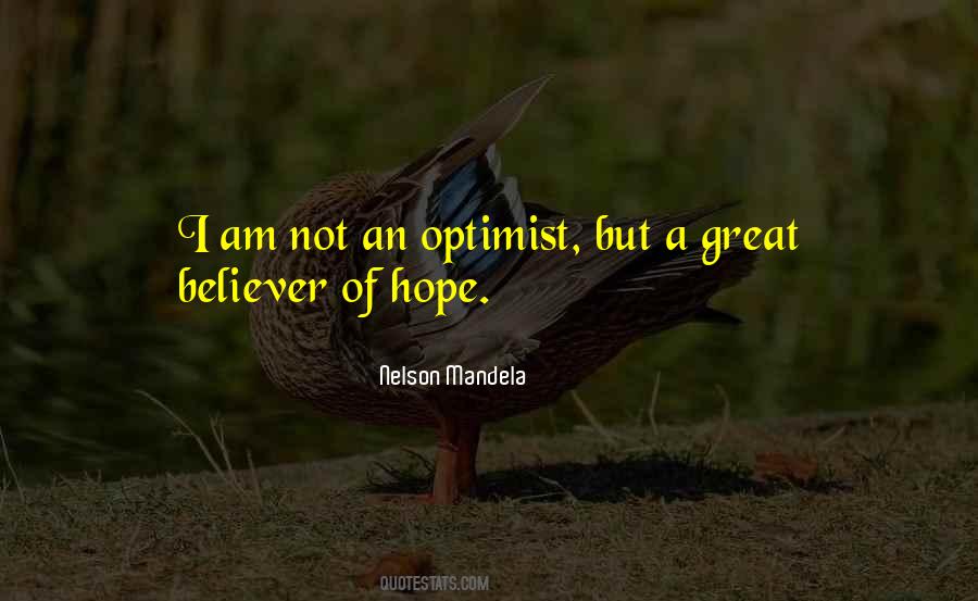 I Am An Optimist Quotes #1335922