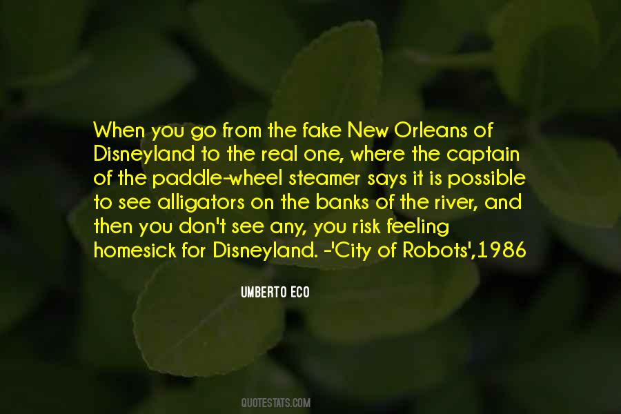 I Am Feeling Homesick Quotes #1858453