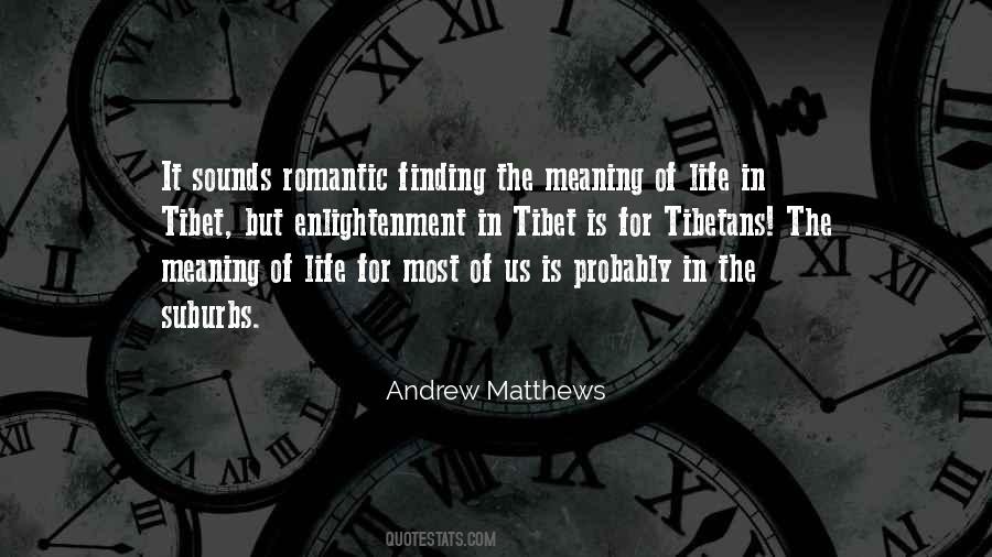 Quotes About Finding Meaning In Life #617345