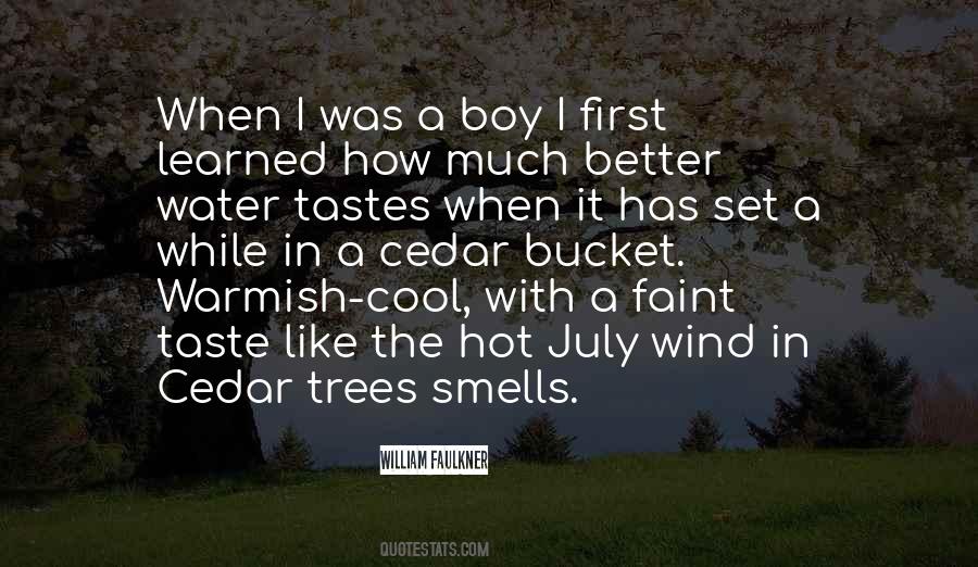 I Am Hot Boy Quotes #572161