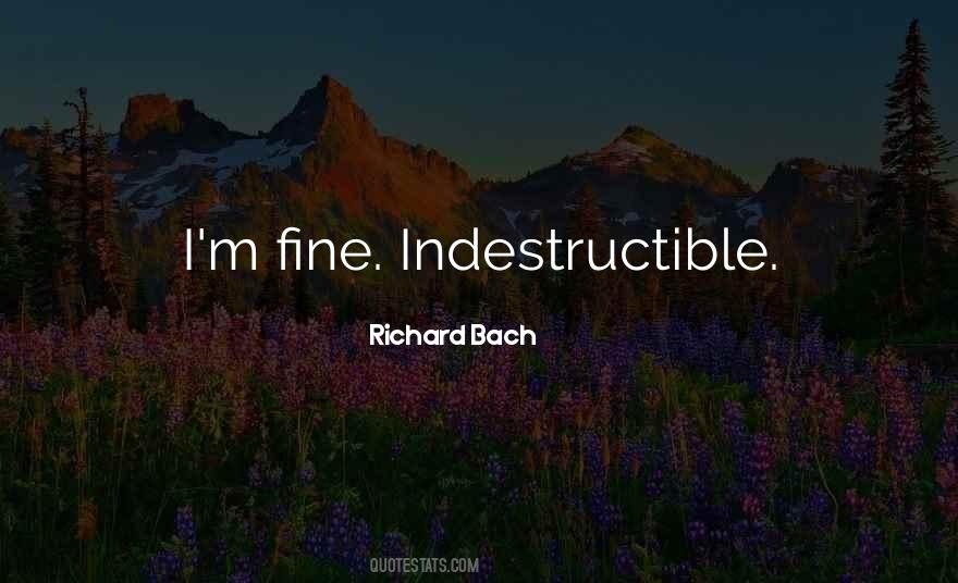 I Am Indestructible Quotes #106137