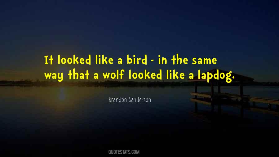 I Am Like A Bird Quotes #6788