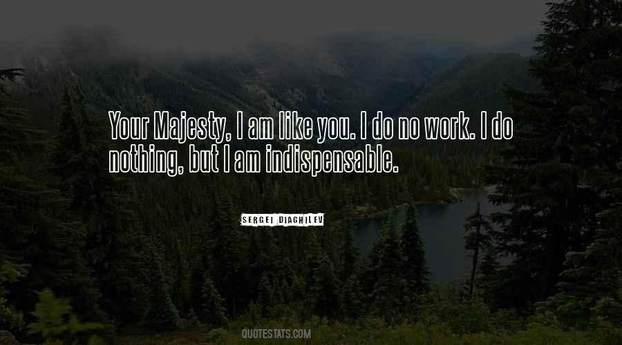 I Am Like You Quotes #568114