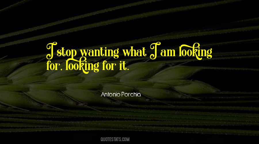 I Am Looking Quotes #1311508