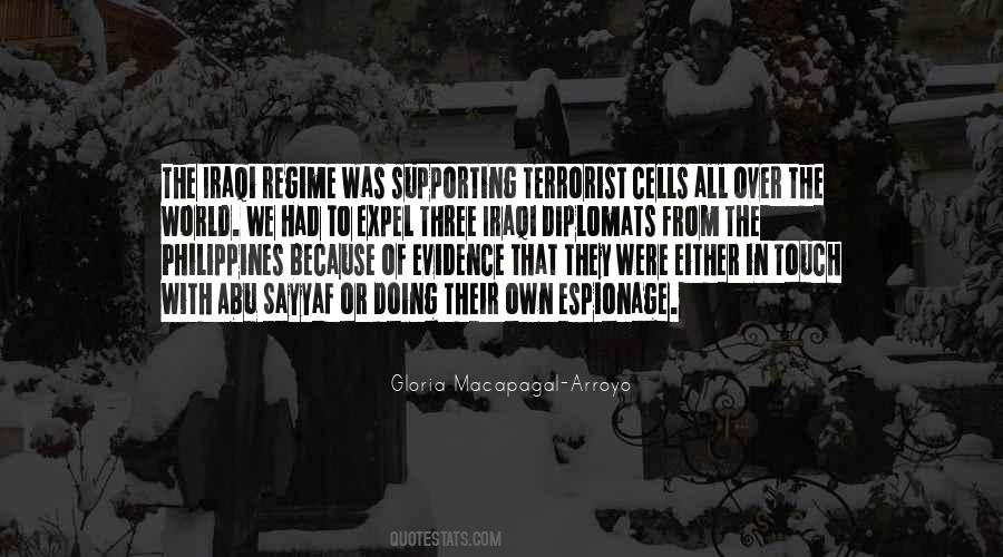I Am Not A Terrorist Quotes #40443