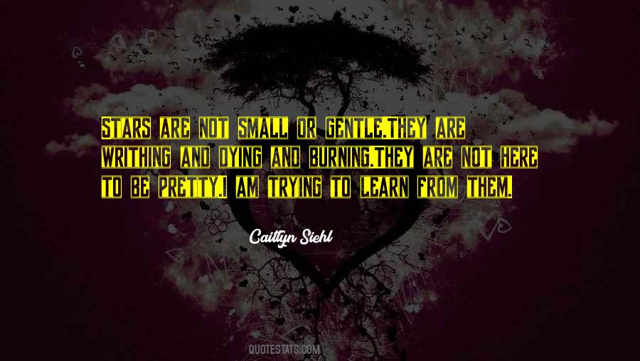 I Am Not Pretty Quotes #1647840