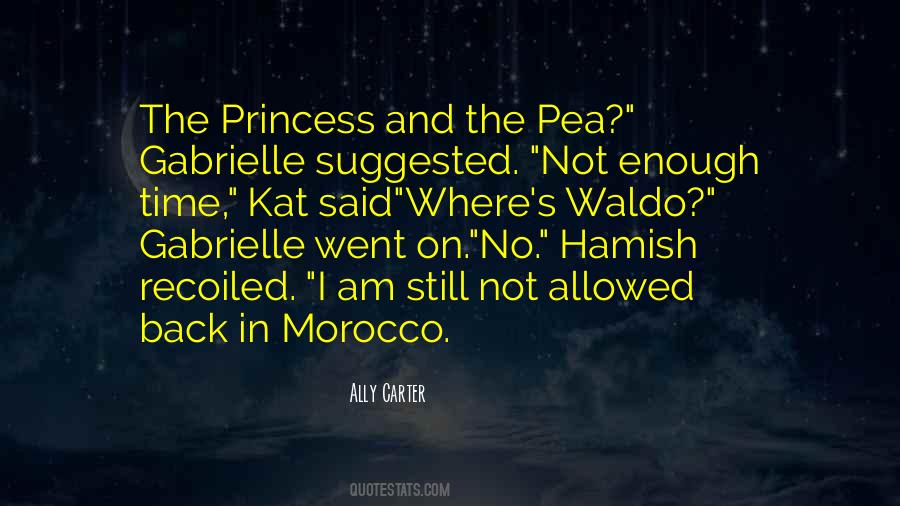 I Am Not Princess Quotes #1148363