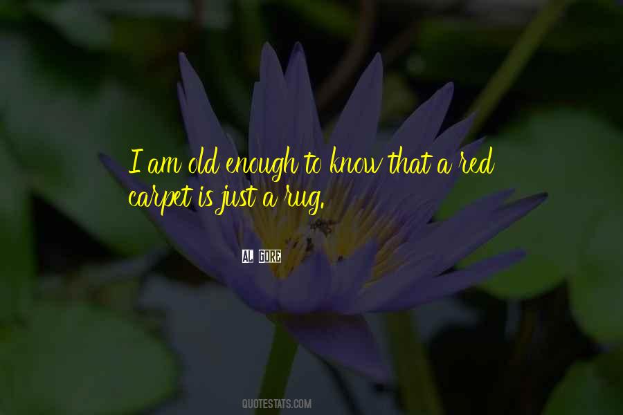 I Am Old Enough Quotes #901647