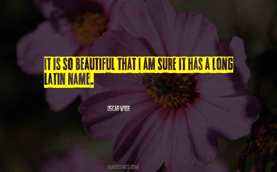 I Am So Beautiful Quotes #850916