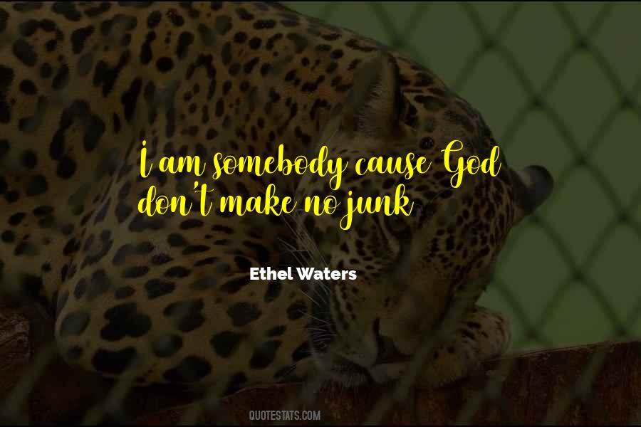I Am Somebody Quotes #399245