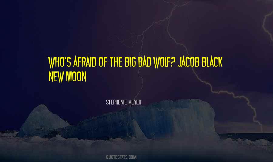 I Am The Bad Wolf Quotes #31171