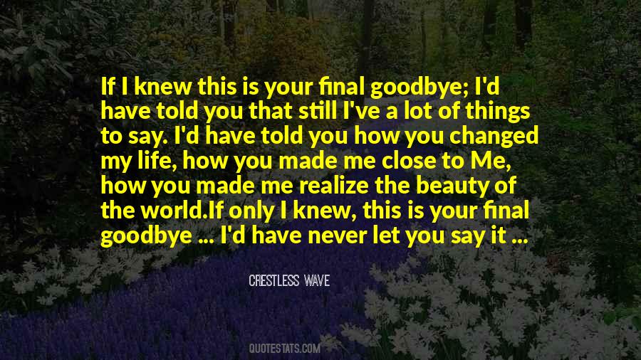Quotes About Final Goodbye #1372219