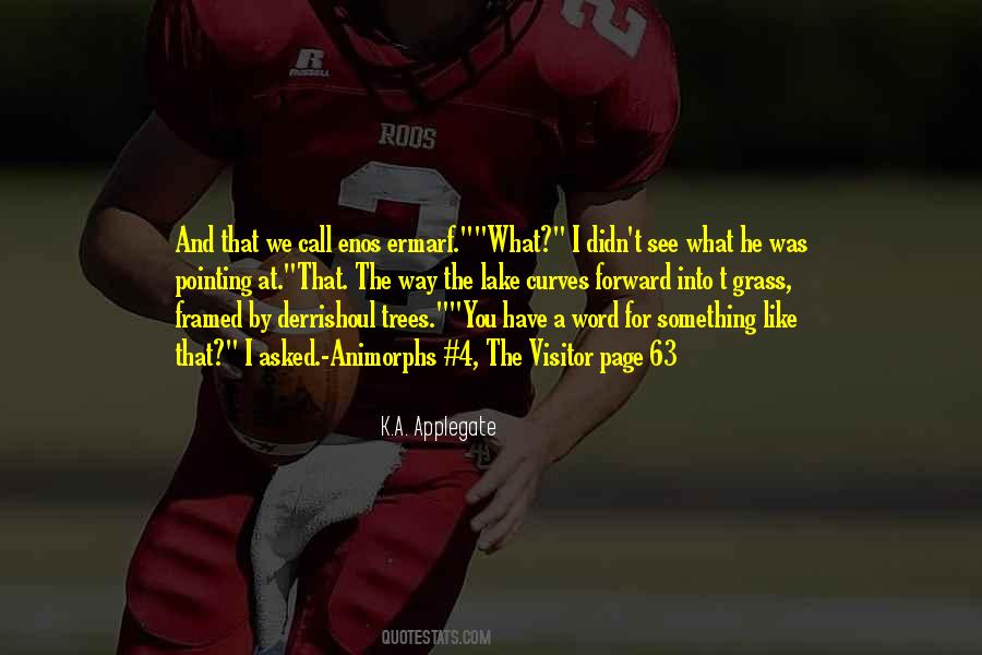 I Call It Like I See It Quotes #1077744
