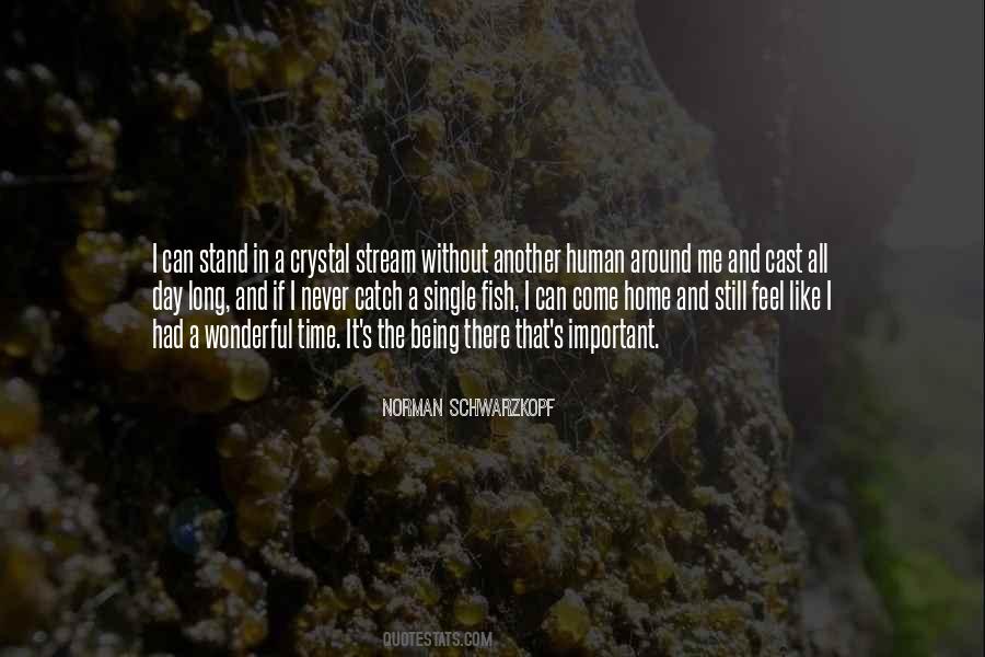 I Can Stand Quotes #1807092