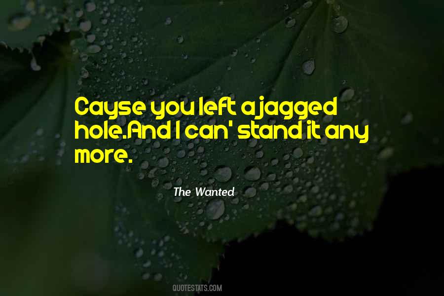 I Can Stand Quotes #543565