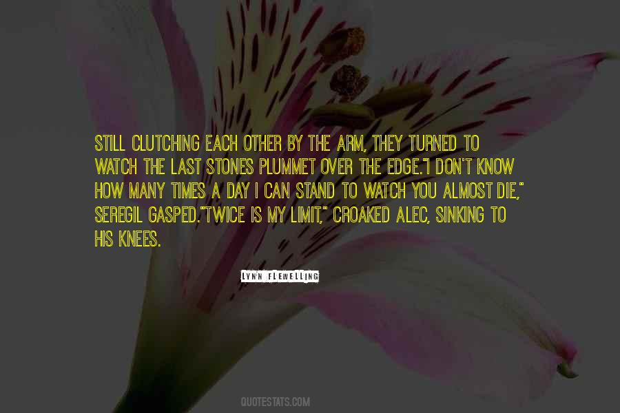 I Can Stand Quotes #660393