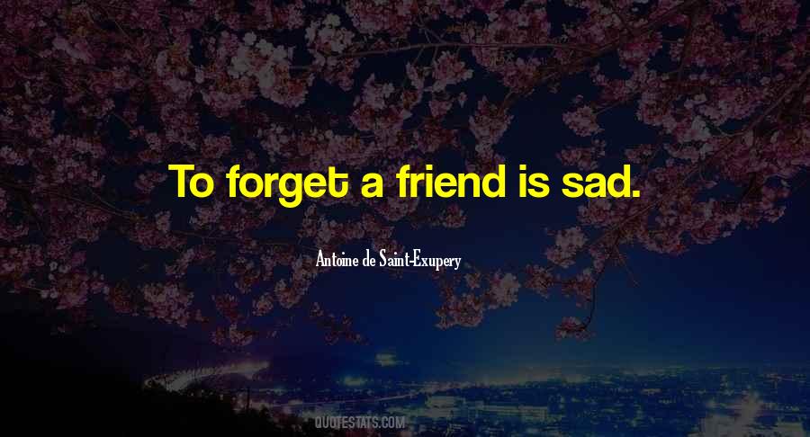 I Can't Forget You My Friend Quotes #561984