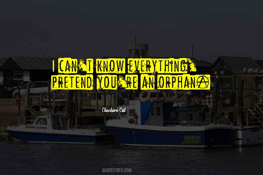 I Can't Pretend Quotes #1014465