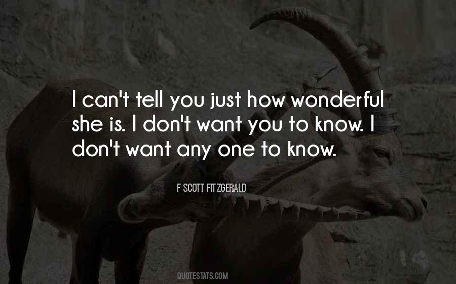 I Can't Tell You Quotes #1024248