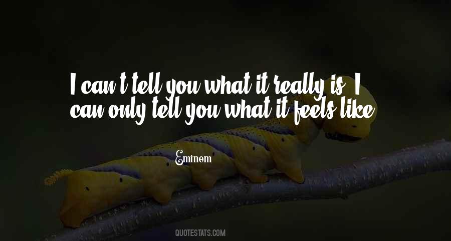 I Can't Tell You Quotes #1045304
