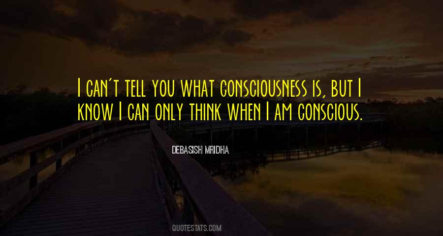 I Can't Tell You Quotes #1604163