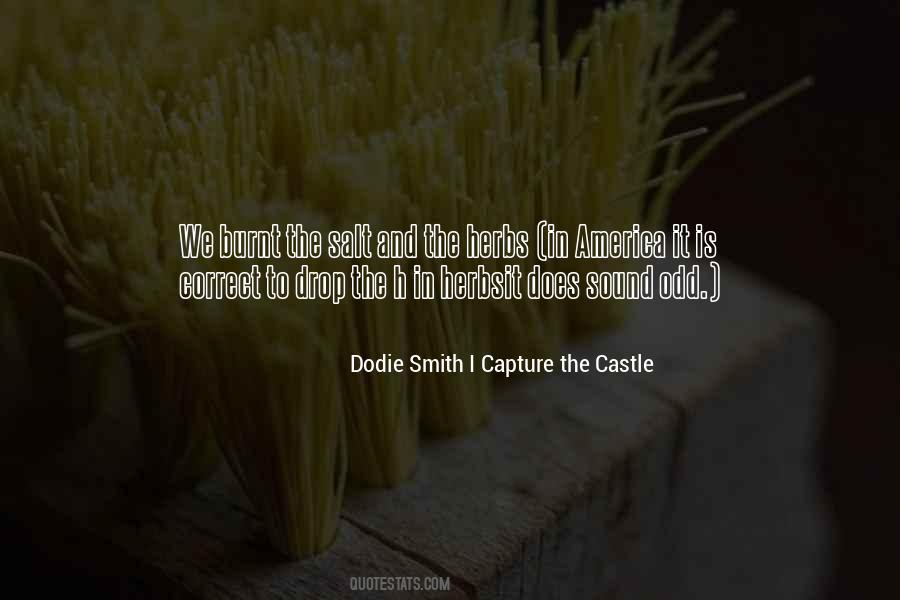 I Capture The Castle Quotes #587146