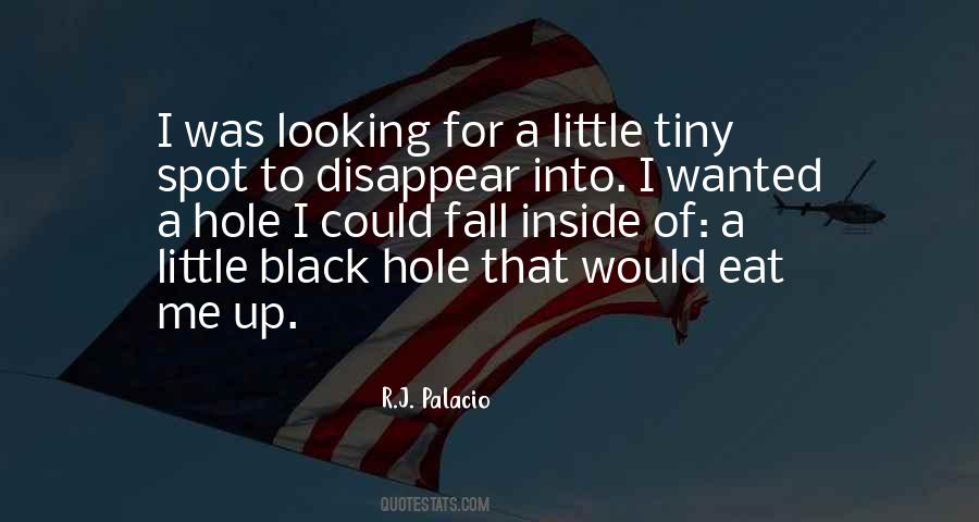 I Could Disappear Quotes #744753