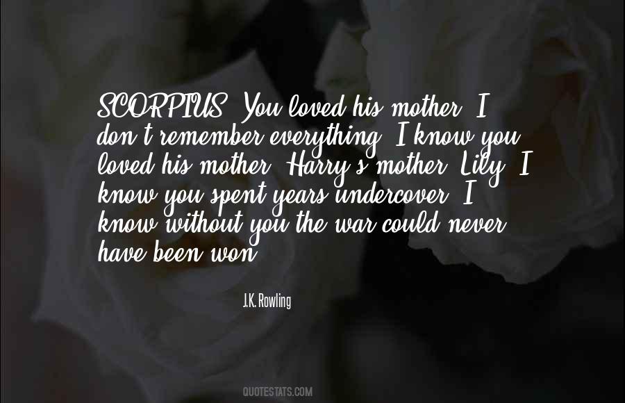 I Could Have Loved You Quotes #144217