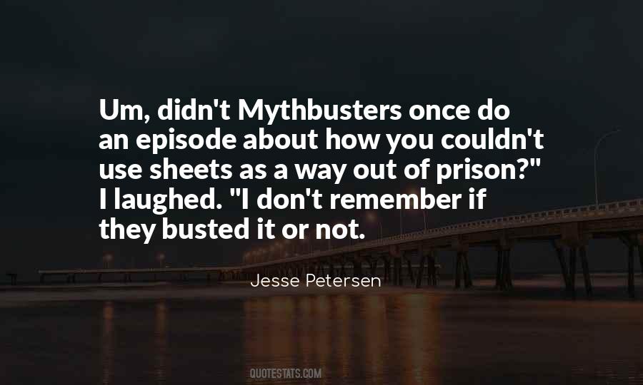 I Didn't Do It Quotes #85641 I Didn't Do It Quotes #85641