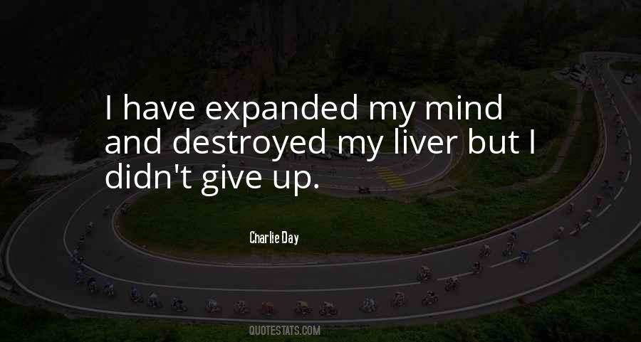 I Didn't Give Up Quotes #1020447