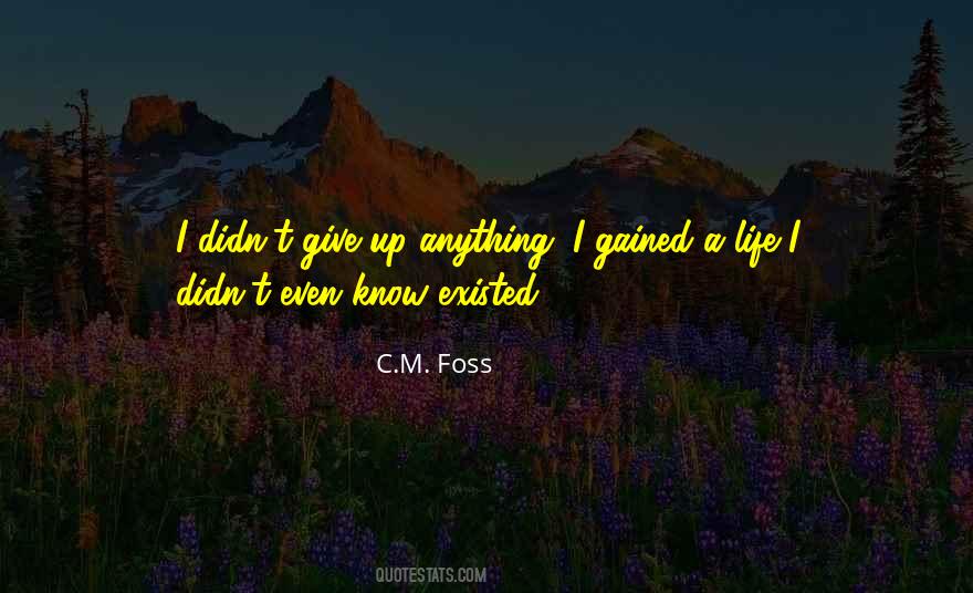 I Didn't Give Up Quotes #1029452