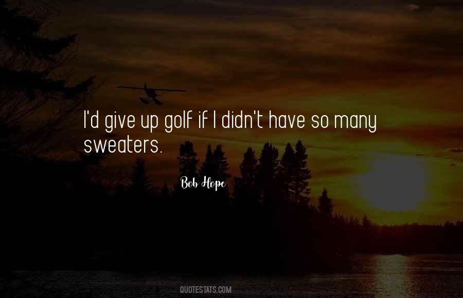 I Didn't Give Up Quotes #1360129