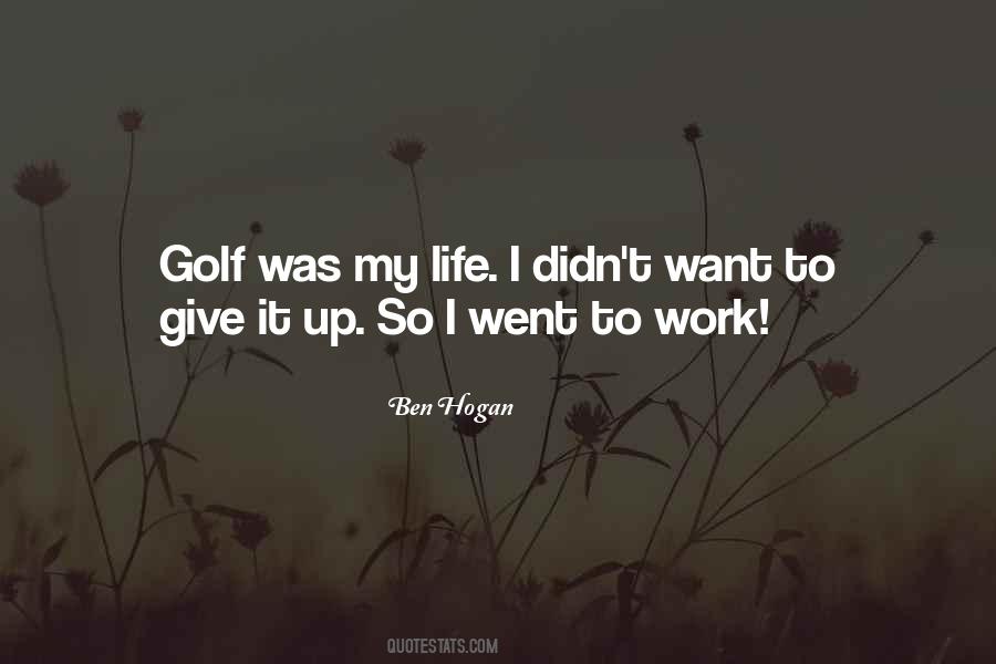 I Didn't Give Up Quotes #1513091