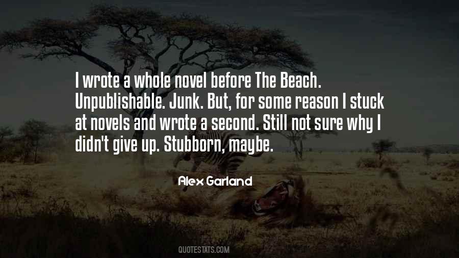 I Didn't Give Up Quotes #1820257