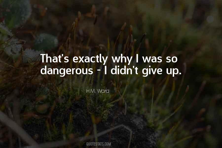 I Didn't Give Up Quotes #736203
