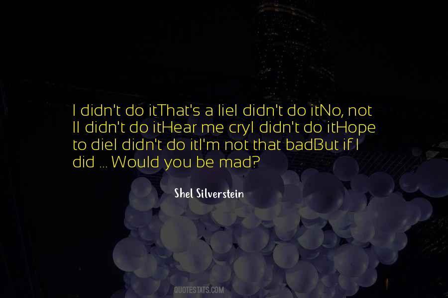 I Didn't Lie Quotes #1730153