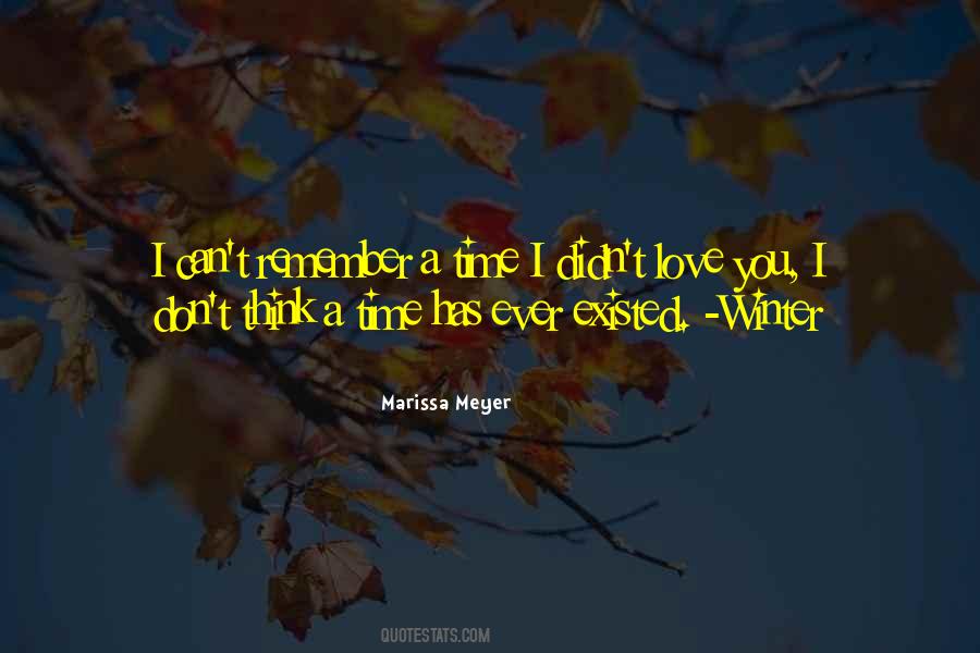 I Didn't Love You Quotes #1360849