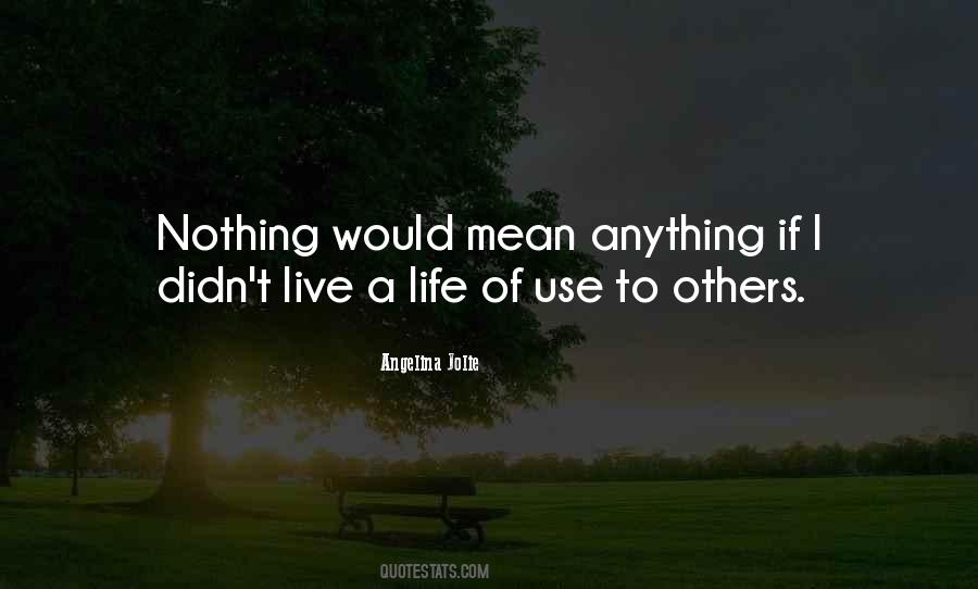 I Didn't Mean Anything To You Quotes #271437