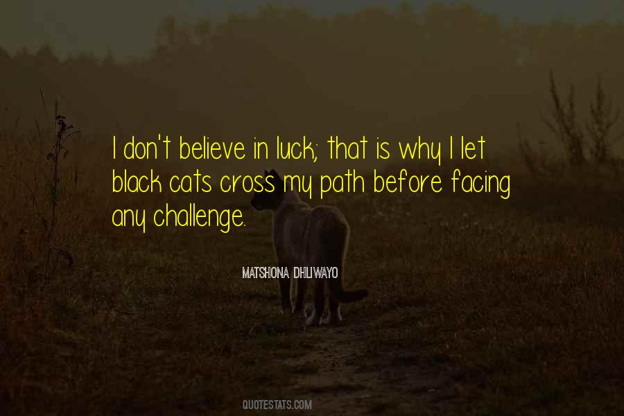 I Don Believe In Luck Quotes #387471