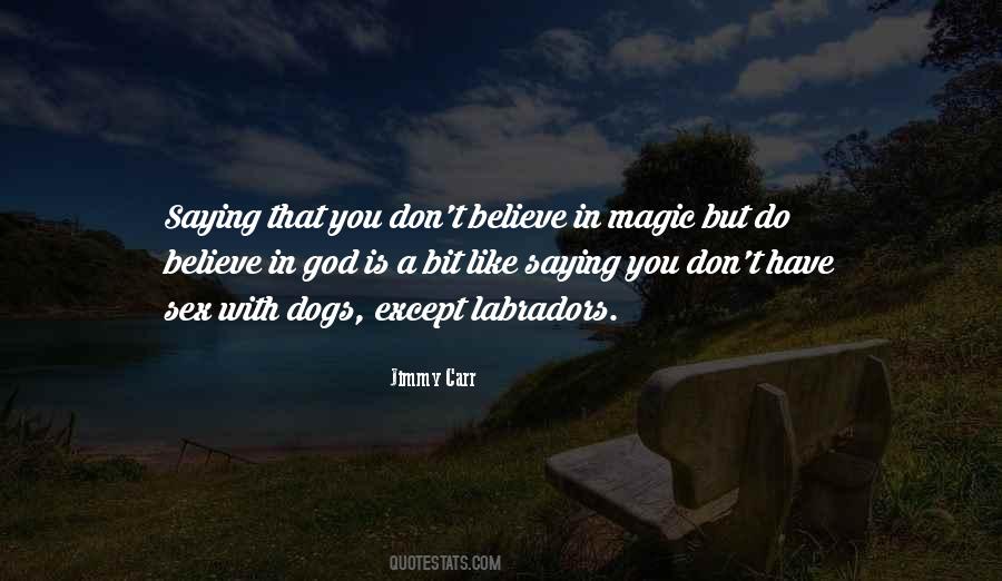 I Don't Believe In Magic Quotes #802334
