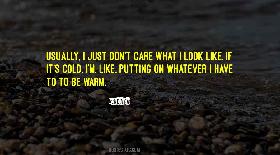 I Don't Care How You Look Quotes #358190