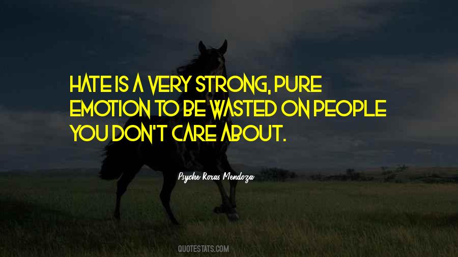 I Don't Care If You Hate Me Quotes #160140