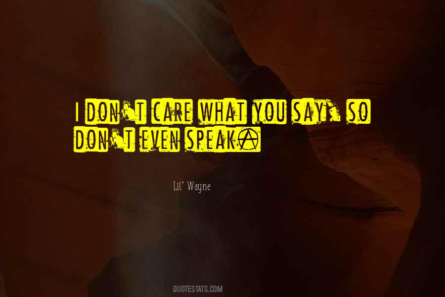I Don't Care What You Say Quotes #187651
