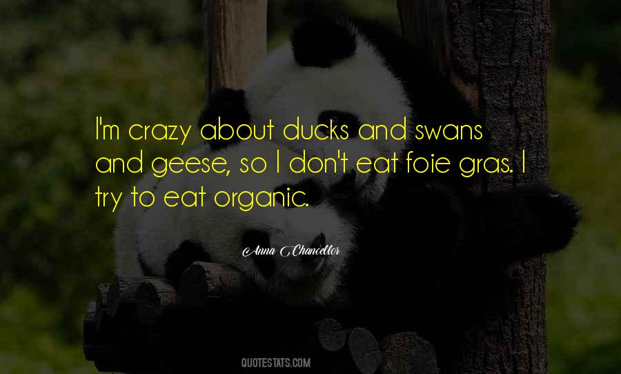 I Don't Eat Quotes #1278101