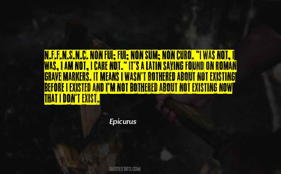 I Don't Exist Quotes #875432