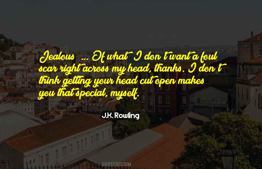 I Don't Get Jealous Quotes #365204