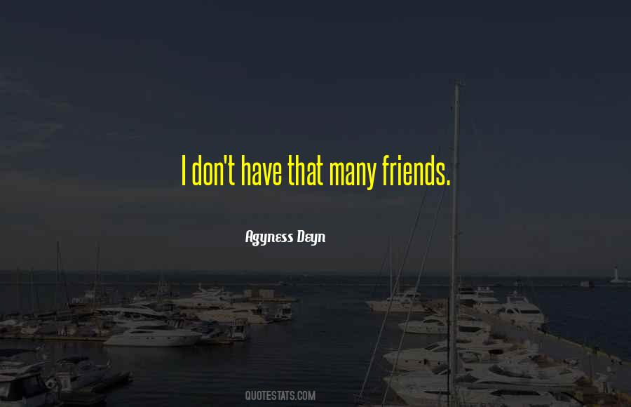 I Don't Have Many Friends Quotes #405944